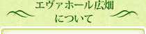 エヴァホール広畑について