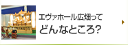 エヴァホール広畑ってどんなところ？