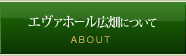 エヴァホール広畑について